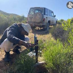Servicing camera traps